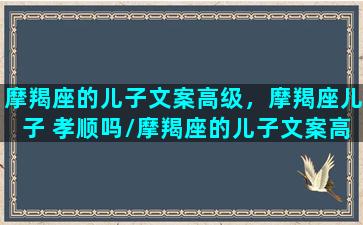 摩羯座的儿子文案高级，摩羯座儿子 孝顺吗/摩羯座的儿子文案高级，摩羯座儿子 孝顺吗-我的网站